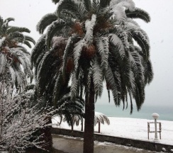 Апартаменты в Гагарин house