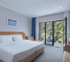 Superior Promo 2-местный 1-комнатный в Alean Family Sputnik