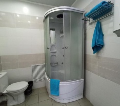 Номер стандарт с 1 двуспальной кроватью в Променад