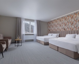 Junior Suite 2-местный 1-комнатный в Alean Club Sophiа