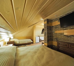 3-местный номер стандарт семейный (мансарда) в Дилижанс