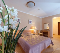 Полулюкс Junior Suite в Отель Новый