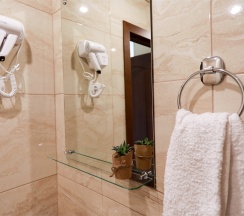 Двухместный номер комфорт в Аист