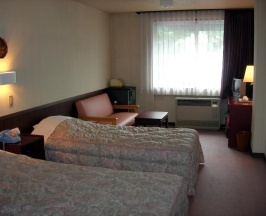 Номер Standard в Hotel Weisser Hof Happei