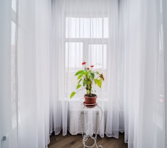 Видовая комната с эркером и балконом на Невский проспект в Октавиана