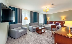 Студия с 1 диваном-кроватью в Crowne plaza