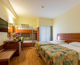 Двухместный номер Standard с балконом двуспальная кровать в Viking Park Hotel