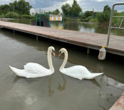А-фрейм 6 в Family Park