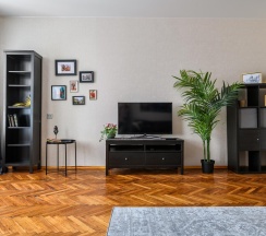 2-комнатные апартаменты улучшенные в Sutki Rent (Сутки Рент) с видом на набережную канала Грибоедова