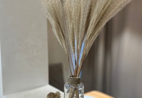 Апартаменты Апартаменты на Трилиссера 22 в Иркутской области