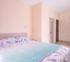 Апартаменты эконом с 1 двуспальной кроватью в FortEstate