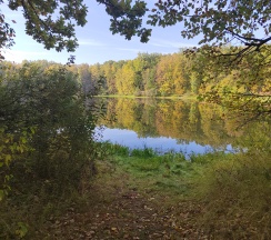 Дом с мангальной зоной в Гостевой дом в лесу у залива