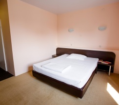 Номер стандарт с 1 двуспальной кроватью в Астория