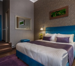 Двухместный номер Comfort с одной кроватью в Mansilion hotel