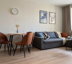 Евро-двухкомнатная квартира в Rauktis apartments