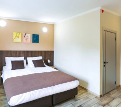 Двухместный номер Standard двуспальная кровать в Гостевой Дом Центральный