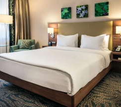 Двухместный номер Accessible двуспальная кровать в Hilton Garden Inn Astana