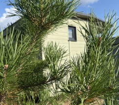 Коттедж c 1 комнатой в Южный Берег