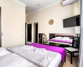 Номер улучшенный премиум с 1 двуспальной кроватью в Погости