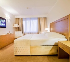 Двухместный номер Standard с видом на город двуспальная кровать в Hotel Marinela Sofia