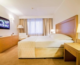 Двухместный номер Standard с видом на горы двуспальная кровать в Hotel Marinela Sofia