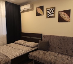 Номер комфорт семейный с 1 двуспальной кроватью в Александрия