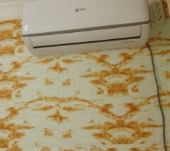 Двухместный номер Economy рядом с пляжем 2 отдельные кровати в Горная лаванда