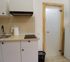 2-местный номер студия (мансарда) в Апарт-отель