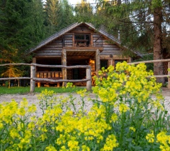 Еловая усадьба в Мазаная Горка