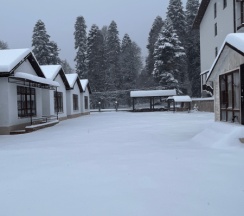 Коттедж в Далия