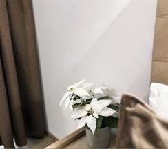 Апартаменты двухместные (стандарт) в Polikariya