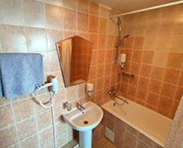 1-комнатный номер стандарт с 1 двуспальной кроватью в Все Бани мира