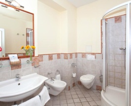 Одноместный номер Standard в Hotel Tivoli Prague