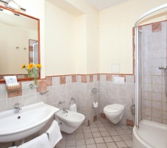 Двухместный номер Standard двуспальная кровать в Hotel Tivoli Prague