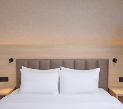 Номер стандарт с 1 двуспальной кроватью в AurA City Hotel