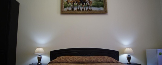 2-местный номер стандарт в Арарат