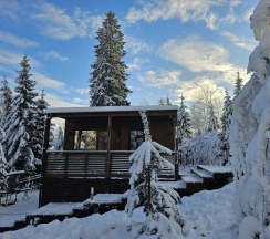 WOOD HOUSE Локация КП "ЧЕРНИЧНОЕ" в Черничный склон