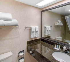Двухместный номер Deluxe двуспальная кровать в Clarion Hotel Denver Central
