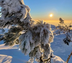 Эконом в Высота 609