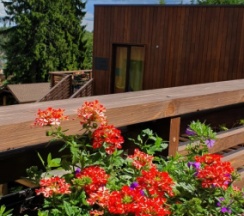 GREEN HOUSE Локация КП "ЧЕРНИЧНОЕ" в Черничный склон