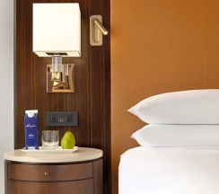 Двухместная студио-люкс Fairmont Gold (двуспальная кровать) в Fairmont Austin