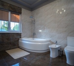 Коттедж Gold в Аристократ