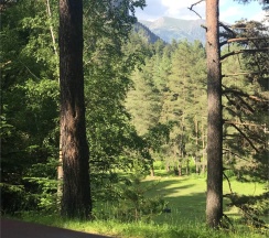 Шале 3. Четырехместный номер комфорт с видом на горы в Белый волк