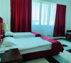 Стандарт Твин в Artis plaza hotel