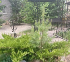 Двухместные апартаменты Superior с 2 комнатами двуспальная кровать в Арслан