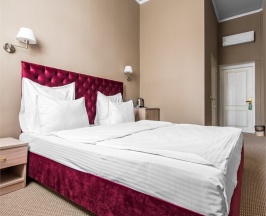 Эконом двухместный в Fortis Hotel