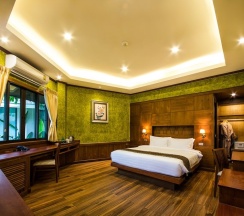 Одноместный номер Deluxe односпальная кровать в Naiyang Park Resort