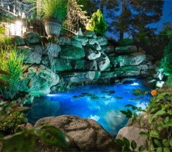 Двухместный стандарт с раздельными кроватями в Лотос