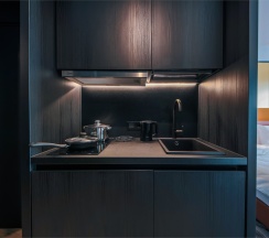 Mercure Comfort Twin в Mercure Hotel and Residences Saint Petersburg