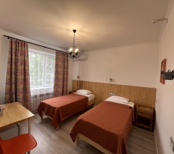 Номер стандарт с 2 односпальными кроватями в Домино